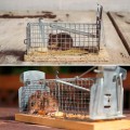 ŻYWOŁPAKA HUMANITARNA PUŁAPKA NA MYSZY GRYZONIE-5670