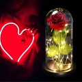 5e566d3ef01ee0d886248405726fc0cd