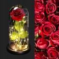 8502eb22bfae3a50aa5554faeda0634f