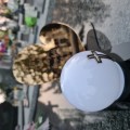 Znicz LED STATUETKA Złota NA CMENTARZ GRÓB DUŻA wieczna lampka nagrobna