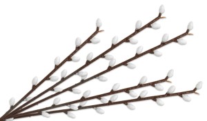 GAŁĄZKI BAZIE WIELKANOCNE 15 CM DO OZDÓB