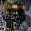 ZNICZ SOLARNY z Grawerem Wieczna Lampka Latarenka LED STATUETKA dla mamy