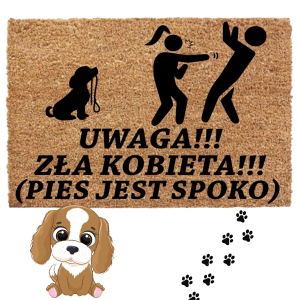 WYCIERACZKA WEJŚCIOWA POD DRZWI GRUBA 40x60CM