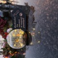ZNICZ SOLARNY LED dla Psa/Kota statuetka serce  grawer IMIĘ  lampka 3D