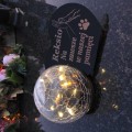 ZNICZ SOLARNY LED dla Psa/Kota statuetka serce  grawer IMIĘ  lampka 3D